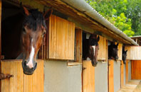 free Catfield stable construction quotes